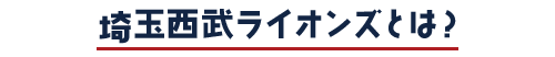 埼玉西武ライオンズとは？