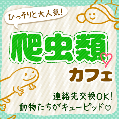 共通の話題で盛り上がる 同世代 大須deお散歩 爬虫類ふれあい コン 大須観音駅すぐ 婚活パーティー情報